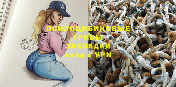 PSILOCYBIN Бугульма