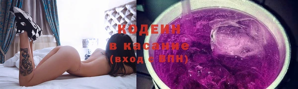 индика Рославль