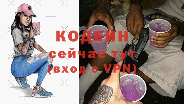 индика Рославль