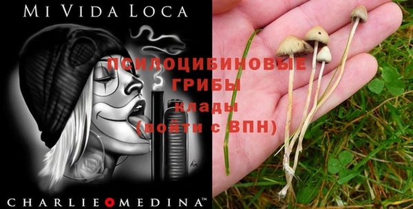 экстази Бородино