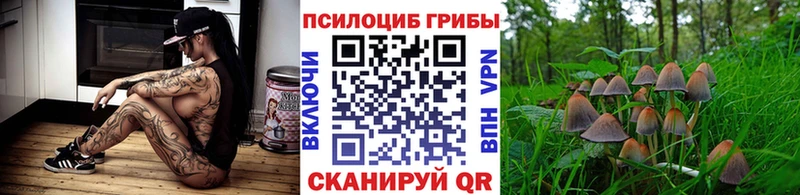 Псилоцибиновые грибы мухоморы  Брянск 